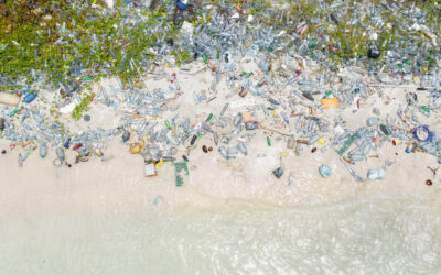 Find out what shifted my perspective on plastic recycling